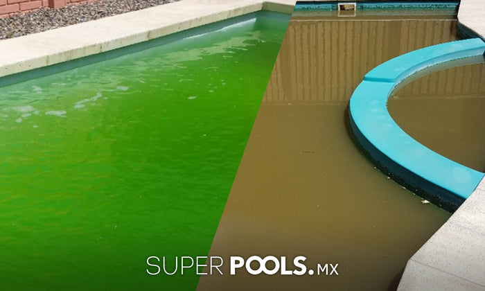 ¿Agua verde, roja o café? Hay metales en tu piscina