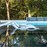 Camastro Marca Ledge Lounger Modelo Signature Chaise, Para Albercas y Áreas Exteriores